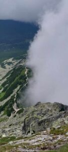 449666727_1205922950582432_8486705416938878609_n